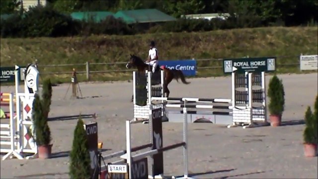 Borgann CSO Sandillon 20150624