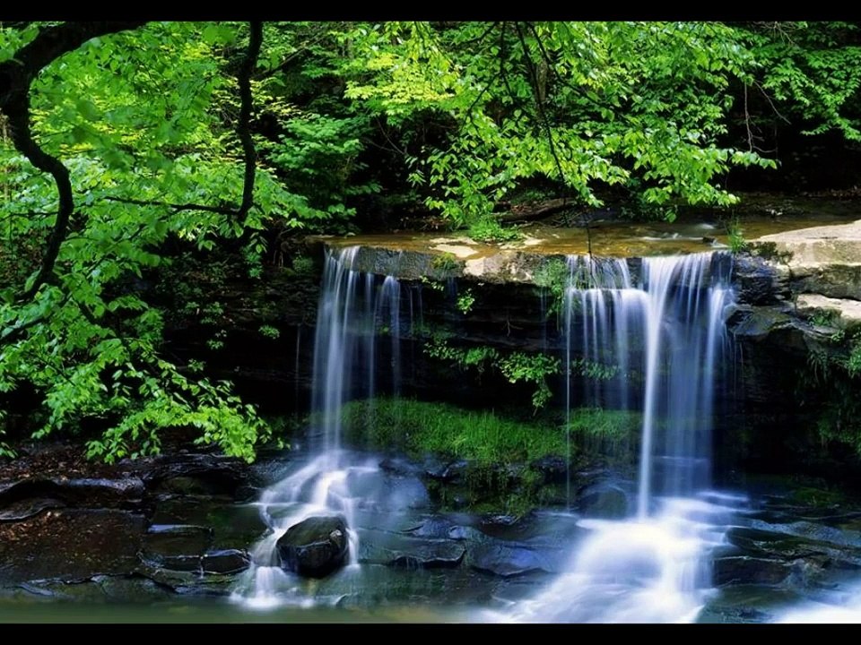 for you lucie