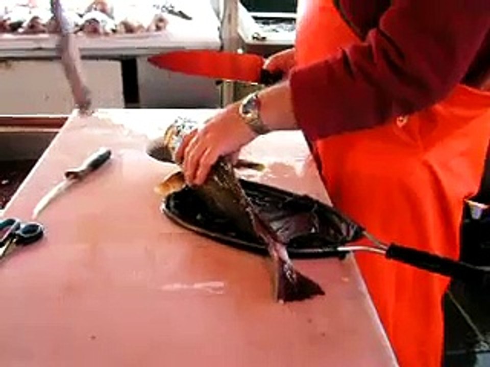 Killing the fish