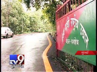 Its 'leopard-human' conflict in Mumbai - Tv9 Gujarati