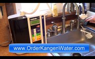 How to Order an Enagic LeveLuk SD501 Kangen Water Ionizer