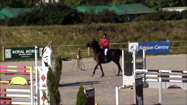 Baze CSO Sandillon 20150624