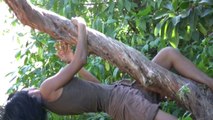 4/ la danse de l'arbre torsadé Je marche dans la beauté