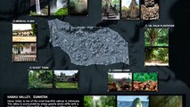 Battlefield 4 -- We've Got Textures! ► Community Jungle Map Update