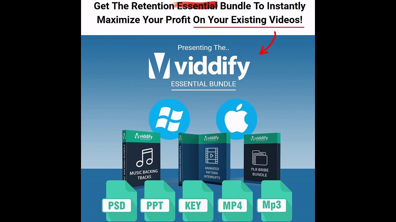 Viddify Essential Bundle