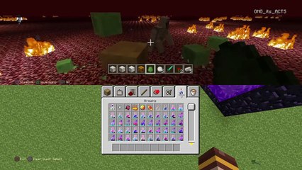 Minecraft: PlayStation®4 Fun with my niece