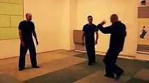 Wing Chun Kung Fu - Ip Man style!