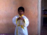 Nellore District Play Class Karate Kid Martial arts Performance Indian Wushu