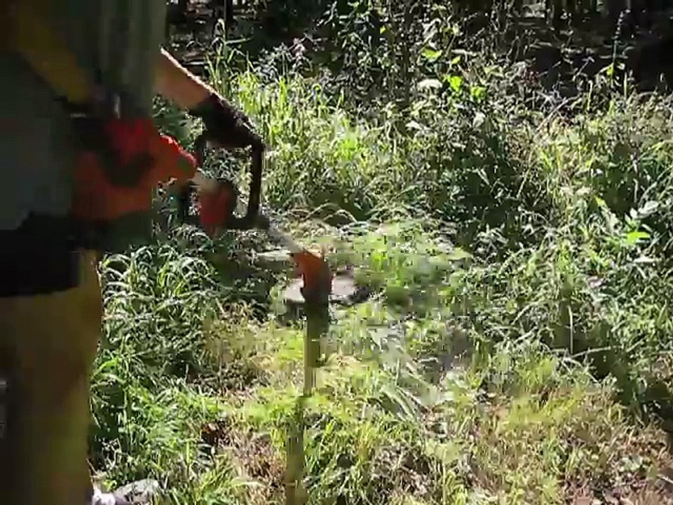 Best Price Black & Decker NST1024 24-Volt Cordless String Trimmer-Edger Reviews