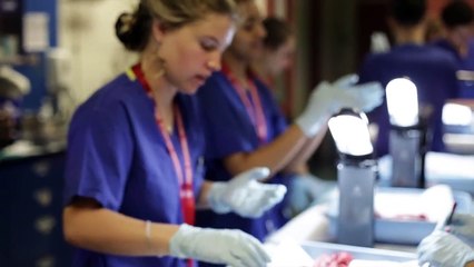 Stanford, CSSSI: Cardiothoracic Surgical Skills Summer Internship