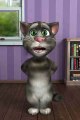 Talking Tom Sings Crazy In Love for Angela