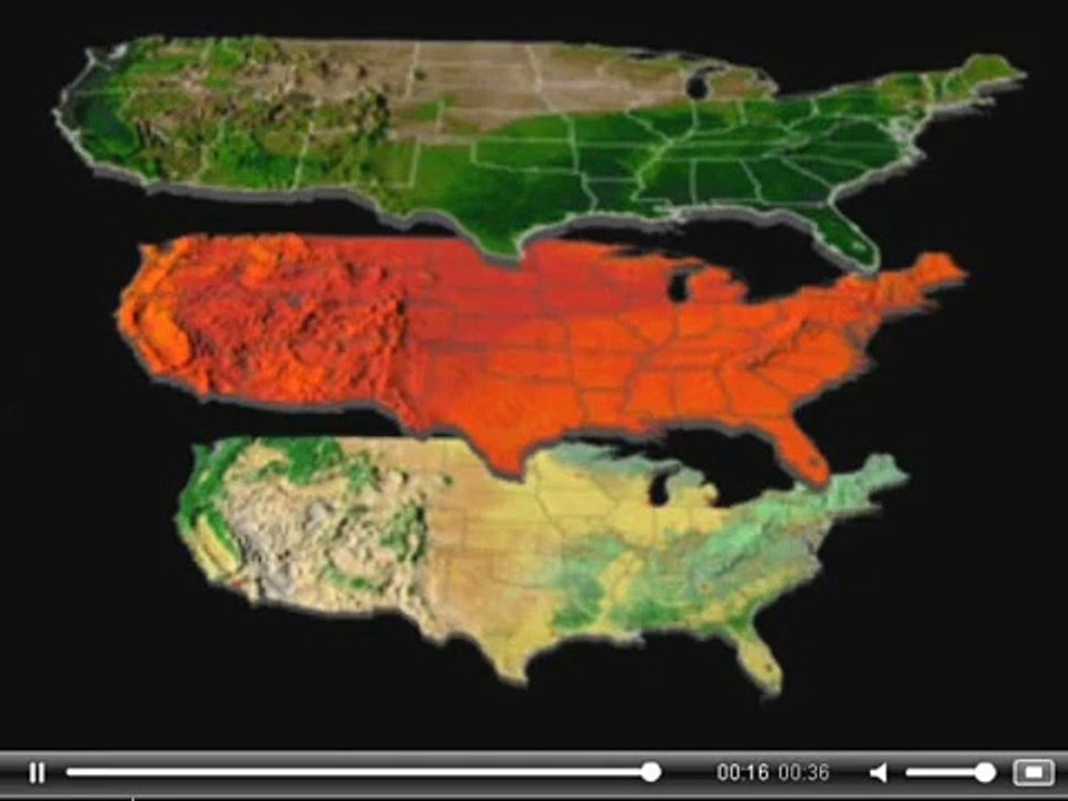 Invasive Species Imagery