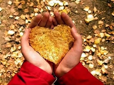 40 KURAL / Şems-i Tebrizi