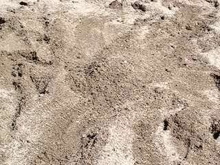 en déterrant piedars