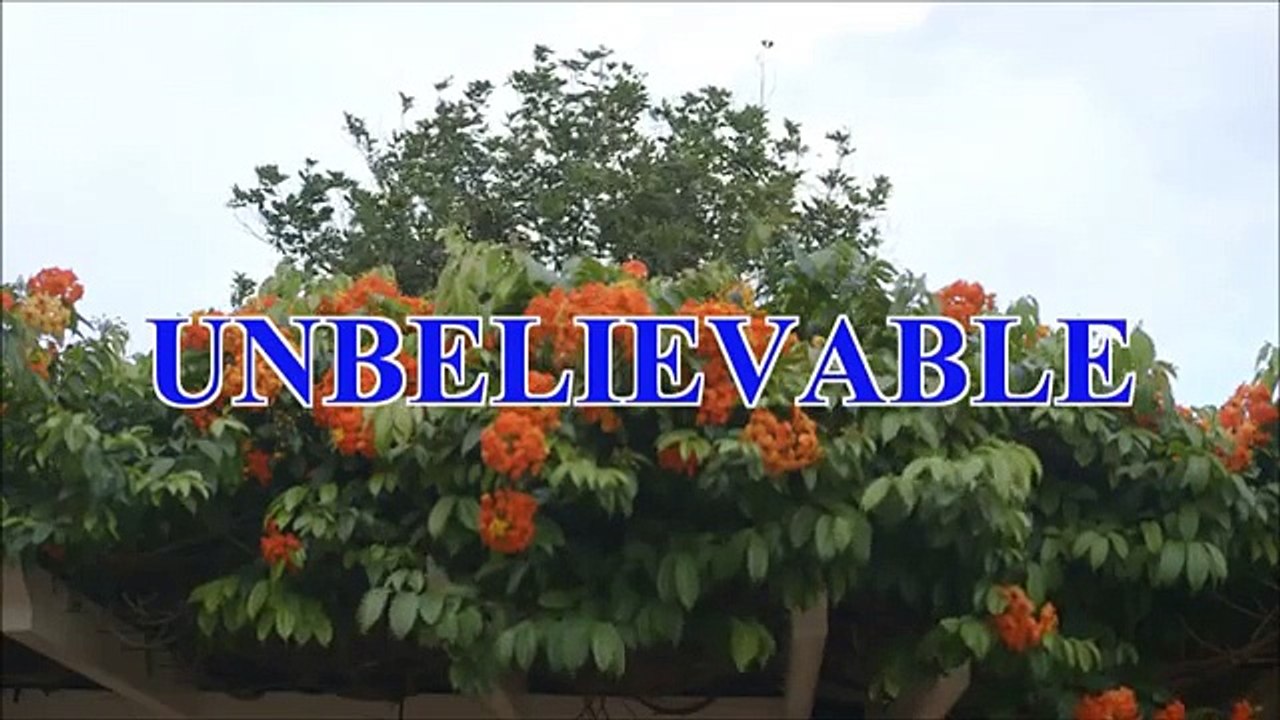 I so stunned like vegetable