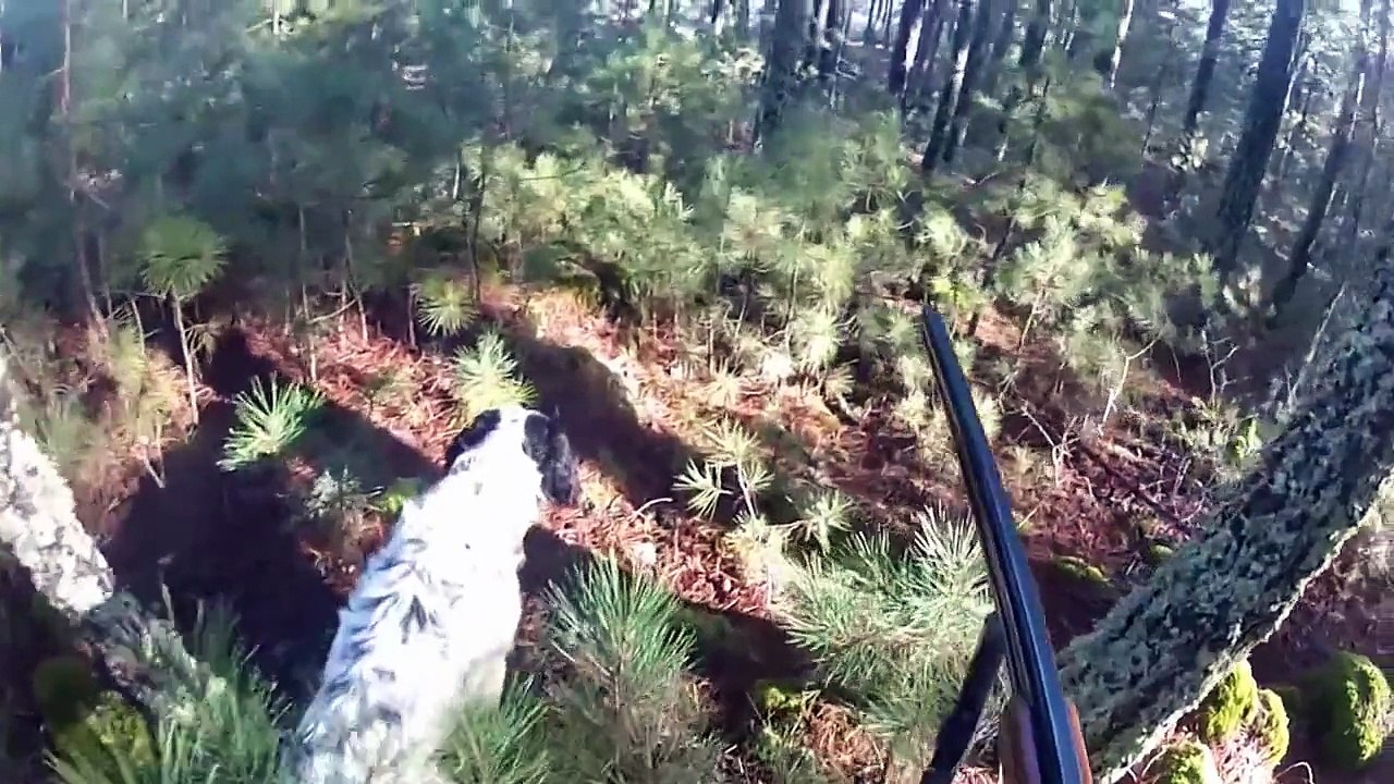 muğla çulluk avı video 1. bölüm