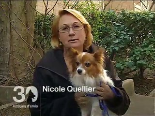 30 MILLIONS D'AMIS . Conseils vétos sur l'anesthésie .