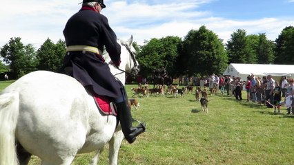 Oeuf-en-Ternois : entrée en piste de l'équipage de chasse à courre