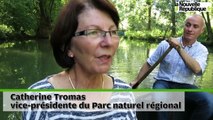 VIDEO. MARAIS POITEVIN : richesse fragile de la biodiversité aquatique