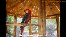 Restaurantes En Pachacamac - Restaurante Kusina