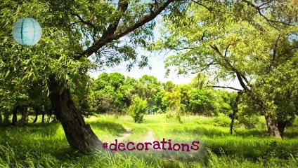 Talking Angela - Picnic in the Park