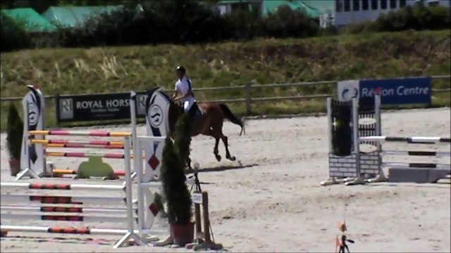 Arlette CSO Sandillon 20150624