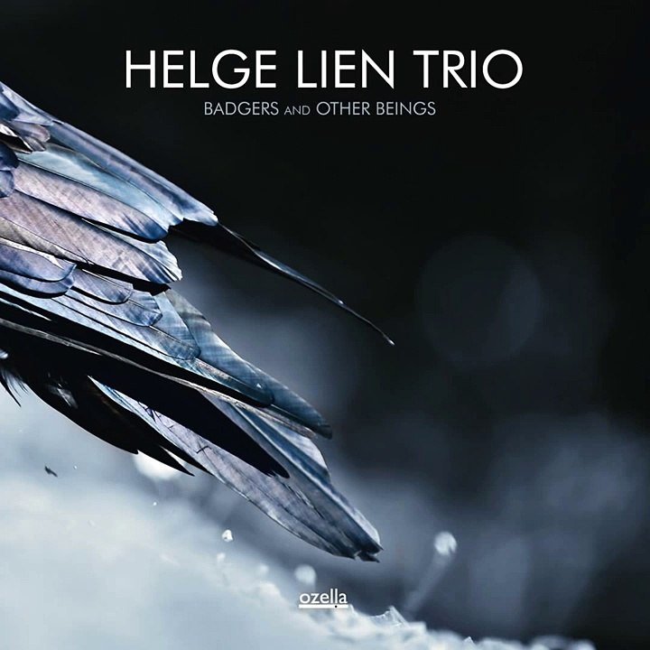 Helge Lien Trio - Mor