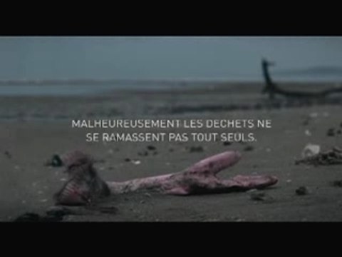 Pub Surfrider foundation