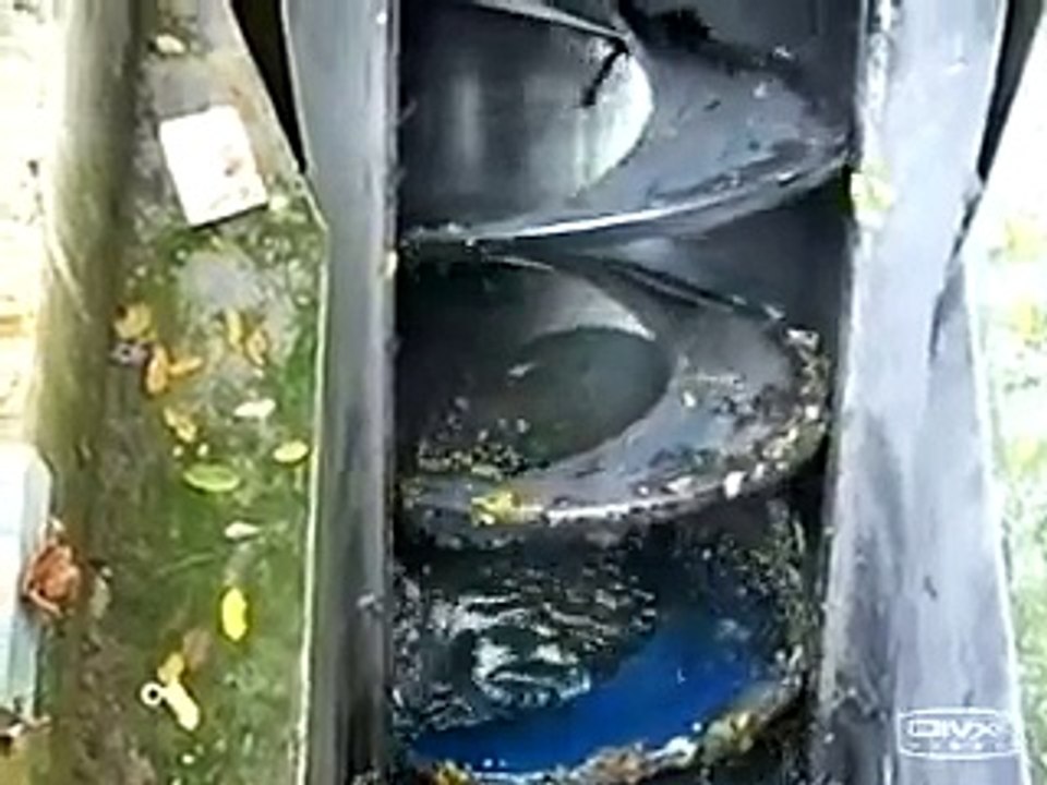 Screen screw compactor MID