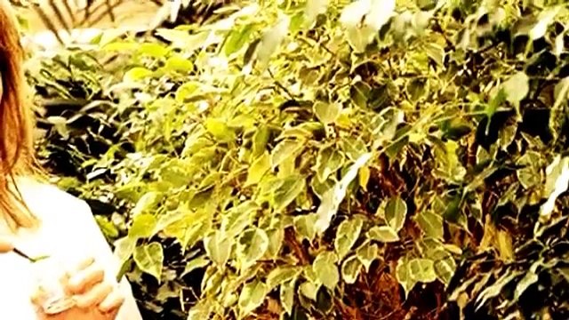 Environmental Science Sac 1B | science | science experiments, | science biology experiments,