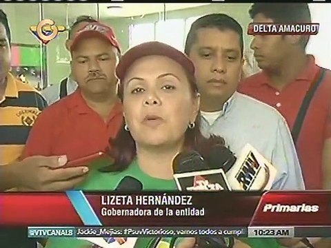 Hernández: Primarias del Psuv denotan democracia participativa y protagónica