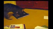 Funny Videos 2014 - Funny Cats Video - Funny Cat Videos Ever - Funny Animals Funny Fails 2014