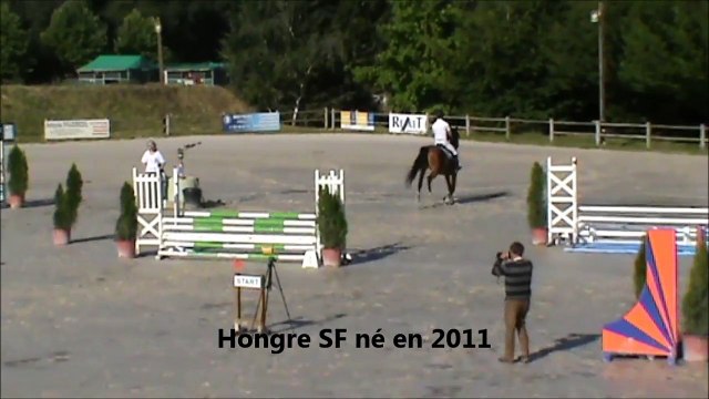 Bolero de Laveau CSO Sandillon 20150624