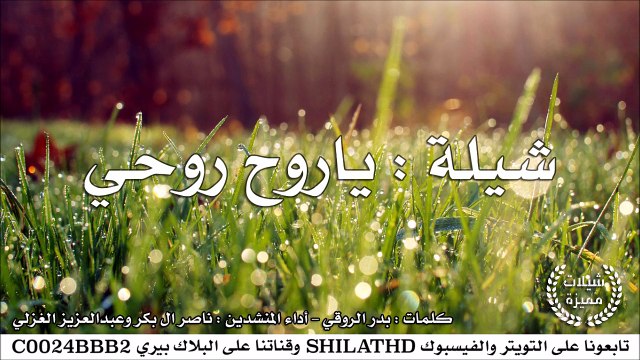 شيلة : ياروح روحي - أداء ناصر ال بكر و عبدالعزيز الغزلي | أصلي + مسرع | #شيلات #صوتيات