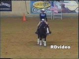 RDVideo - Spanish Snapper - Quarter Horse stallion