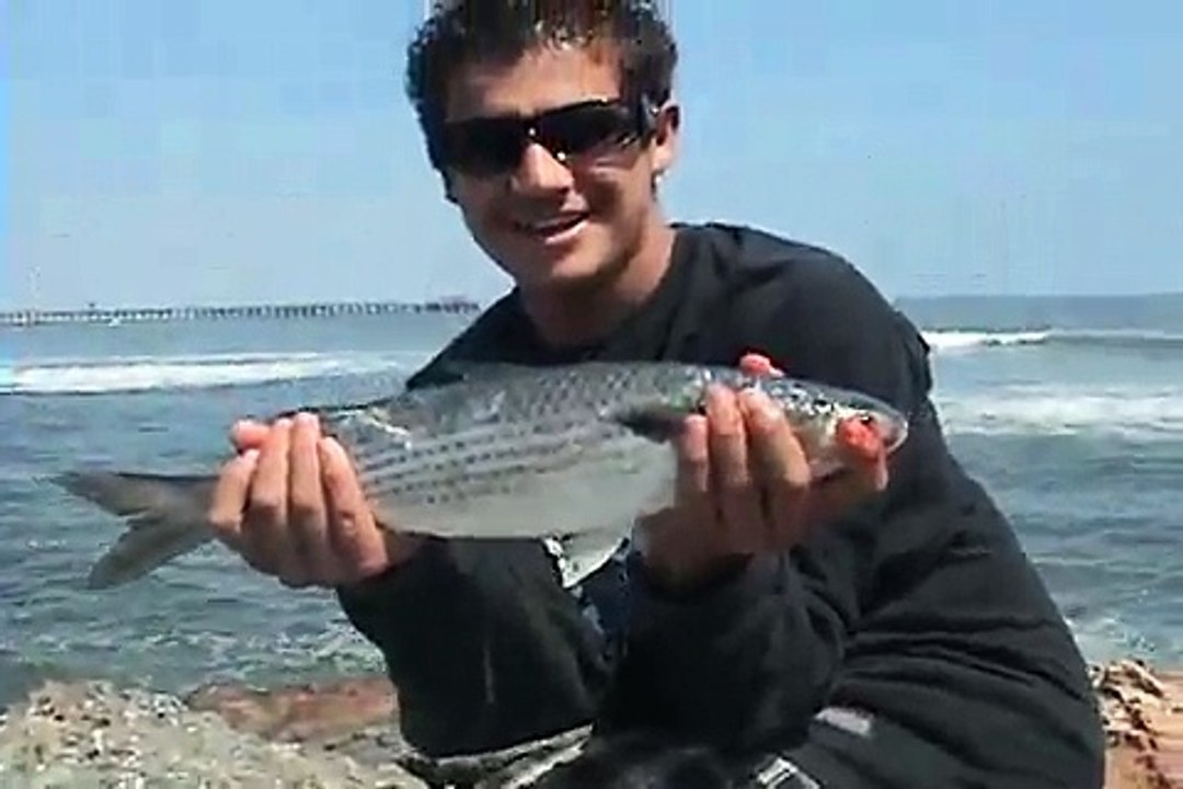 Fishing Mullet at Seal Beach jetty July 20, 2008 video Dailymotion