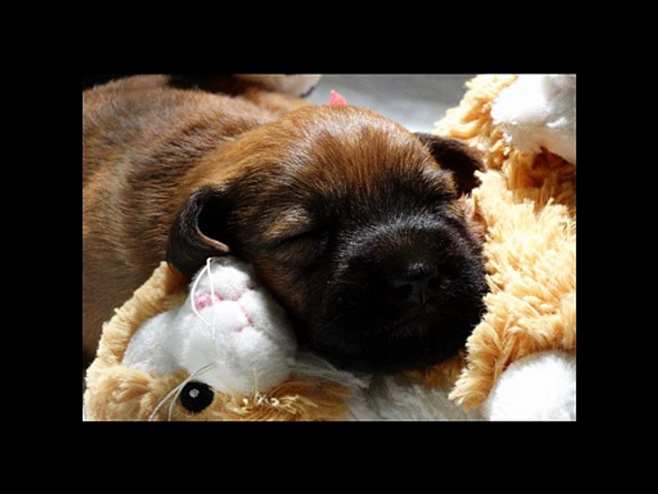 Diapo du 25 ème au 28 ème jour BB Gaïa