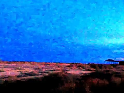 Sandhill Cranes At Whitewater Draw Refuge, Arizona