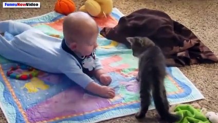 Funny Videos Of Cats And Babies Compilation 2015 - Video Dailymotion