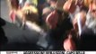 Berlusconi colpito al volto dopo un comizio in piazza Duomo - HD