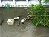Situation in Yangon, Burma after Nargis Cyclone hit