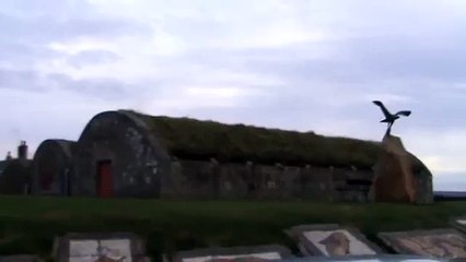 speyside wildlife - the mosaics and icehouse