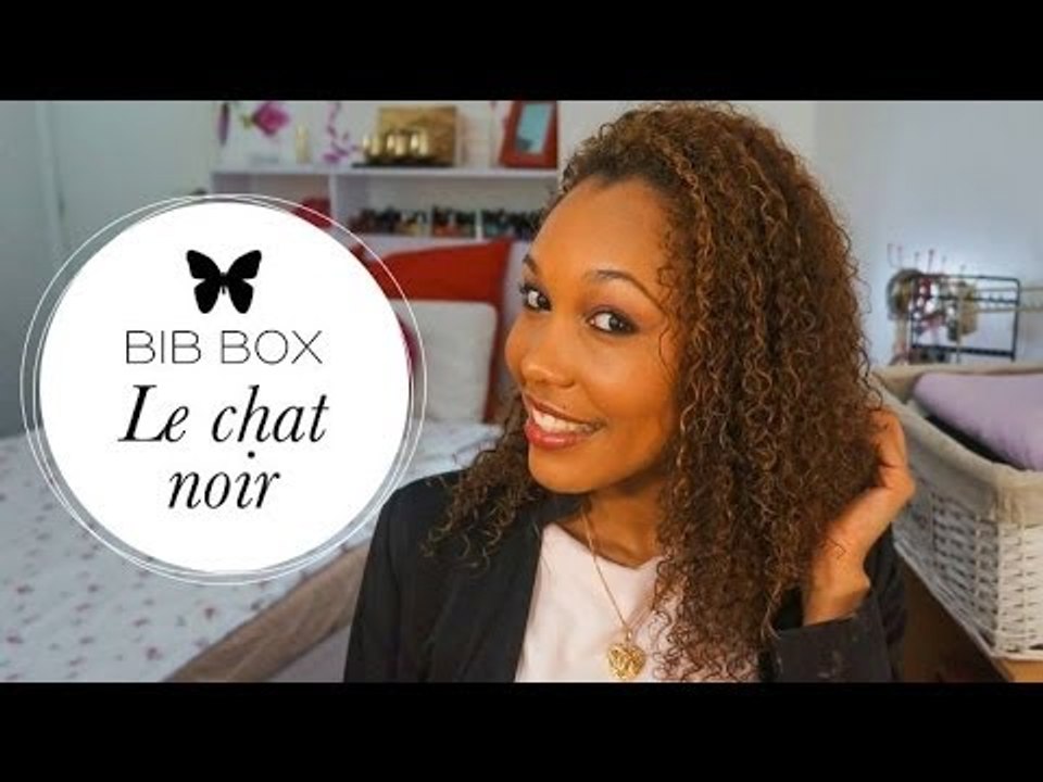 Le Chat Noir