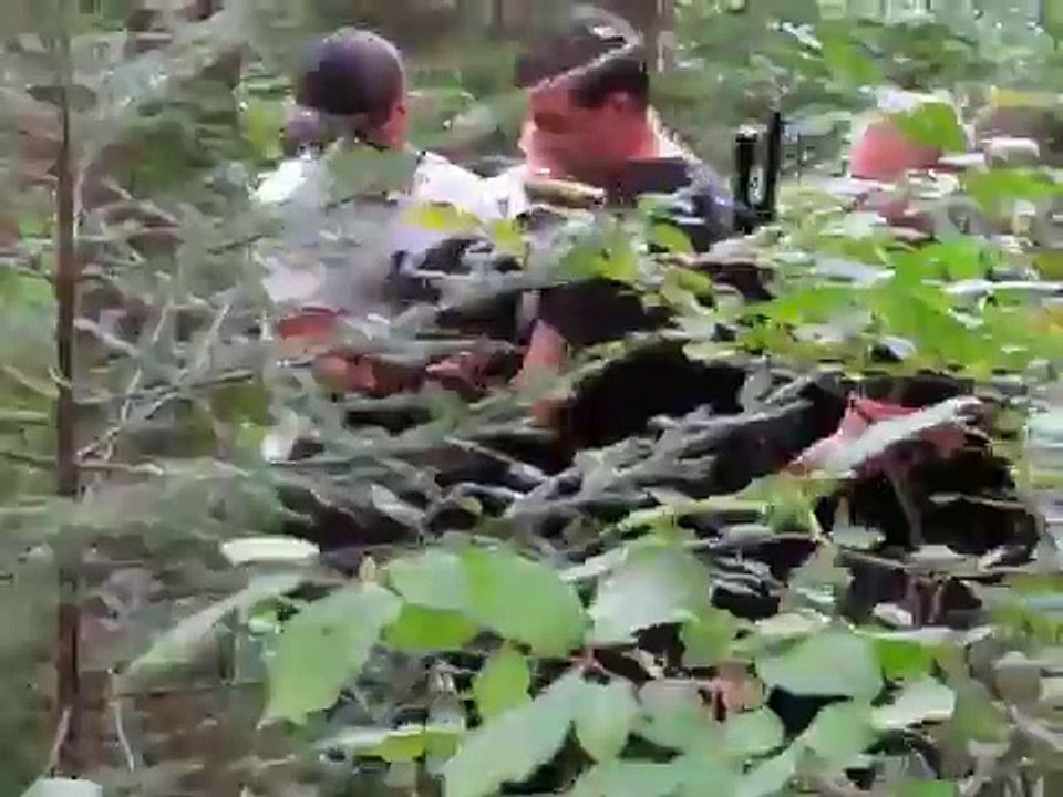 Algonquin Park Black Bear Attack!! pt.1