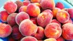 How To Make Peach Smoothie Recipe - Peaches Fruit Smoothies Recipes - Healthy Milkshake Shakes Foods