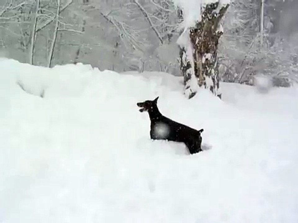 Caper's newest winter sport