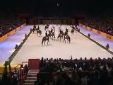 Les 4 Ecoles d'Art Equestre - Cadre Noir - Dressage horses