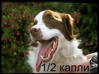 видеоролик "О вреде курения"