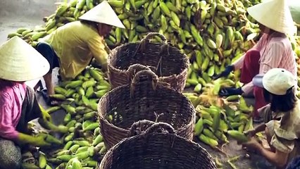 Luke Nguyen's Vietnam S02 Interview 3: Vietnamese Cuisine