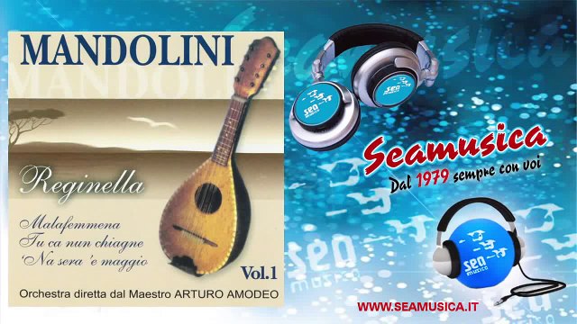 Orchestra Maestro Arturo Amodeo Luna rossa